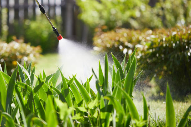 24/7 Emergency Cockroach Control experts in Gordon, GA